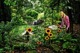 Painted Garden